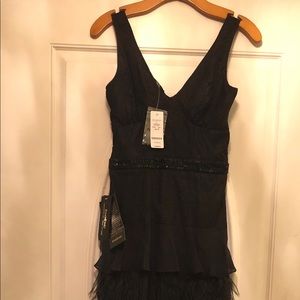 Bebe Feather/Lace/ Chiffon Gown Black